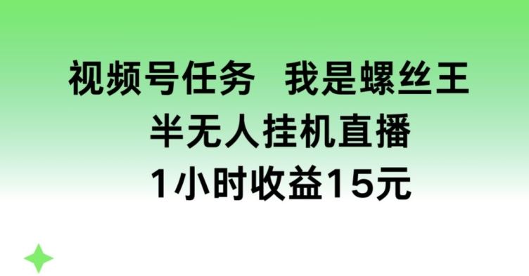 视频号任务，我是螺丝王， 半无人挂机1小时收益15元【揭秘】-云库资源