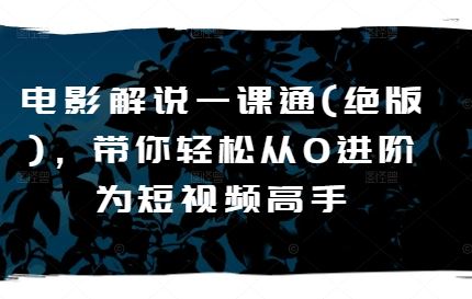 电影解说一课通(绝版)，带你轻松从0进阶为短视频高手-云库资源