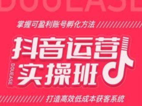 抖音运营实操班，掌握可盈利账号孵化方法，打造高效低成本获客系统-云库资源