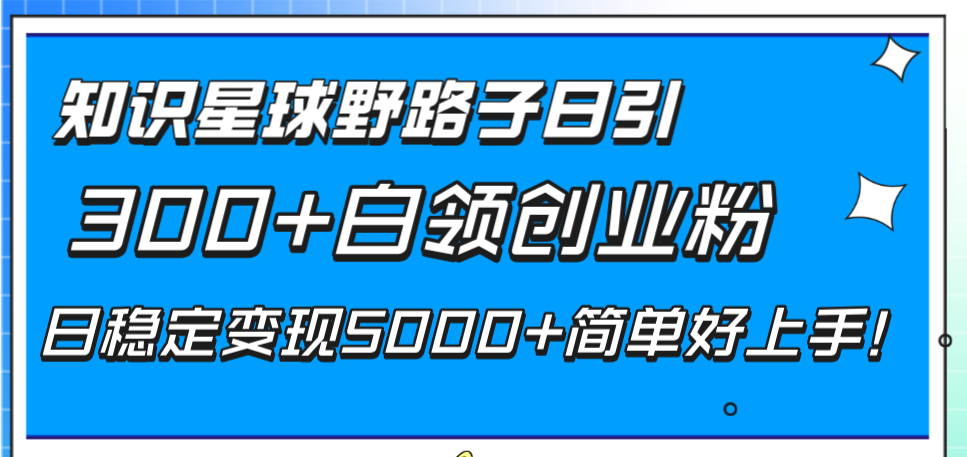 （8315期）知识星球野路子日引300+白领创业粉，日稳定变现5000+简单好上手！-云库资源