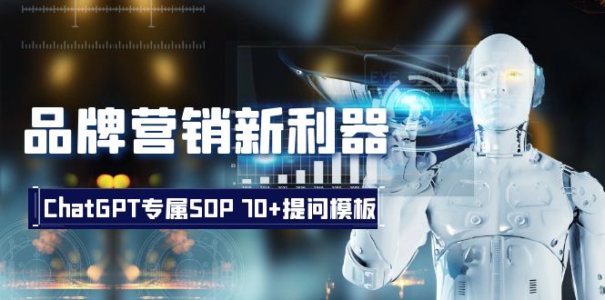 （8403期）品牌营销新利器：ChatGPT专属SOP，70+提问模板-云库资源