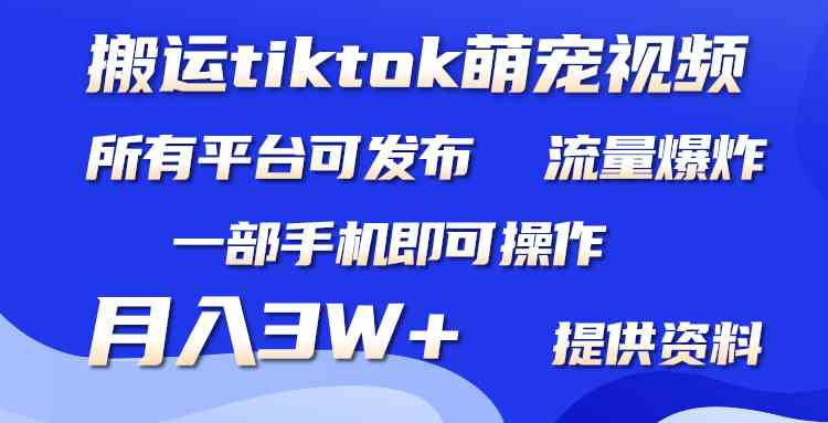 （9618期）搬运Tiktok萌宠类视频，一部手机即可。所有短视频平台均可操作，月入3W+-云库资源