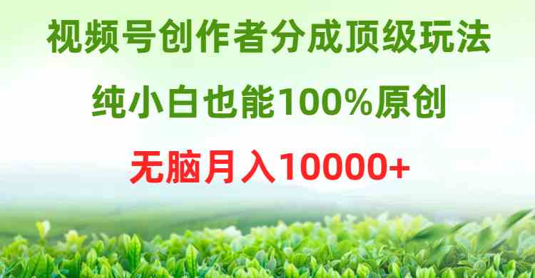 （9608期）视频号创作者分成顶级玩法，纯小白也能100%原创，无脑月入10000+-云库资源