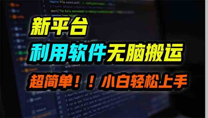 （9745期）新平台用软件无脑搬运，月赚10000+，小白也能轻松上手-云库资源