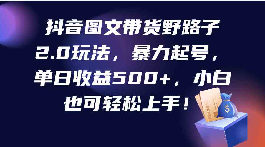 （9790期）抖音图文带货野路子2.0玩法，暴力起号，单日收益500+，小白也可轻松上手！-云库资源