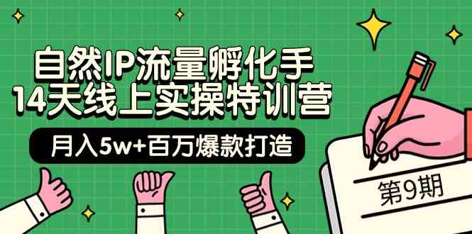 （9881期）自然IP流量孵化手 14天线上实操特训营【第9期】月入5w+百万爆款打造 (74节)-云库资源
