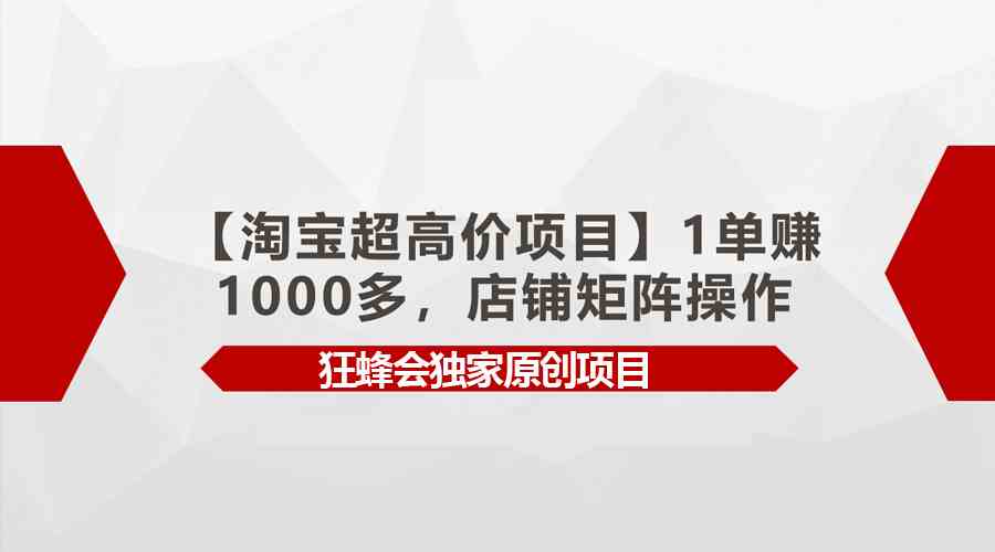 （9849期）【淘宝超高价项目】1单赚1000多，店铺矩阵操作-云库资源