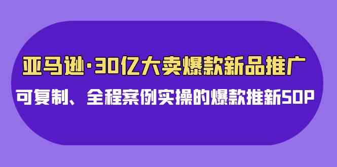 （9944期）亚马逊30亿·大卖爆款新品推广，可复制、全程案例实操的爆款推新SOP-云库资源