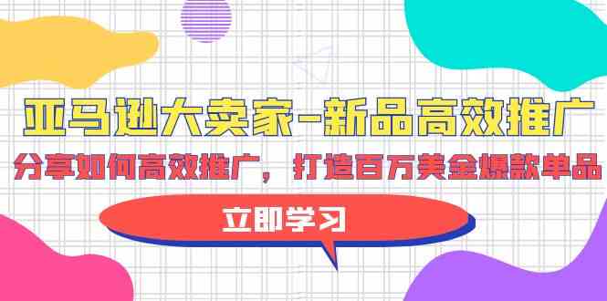 （9945期）亚马逊 大卖家-新品高效推广，分享如何高效推广，打造百万美金爆款单品-云库资源