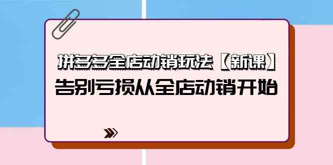 （9974期）拼多多全店动销玩法【新课】，告别亏损从全店动销开始（4节视频课）-云库资源