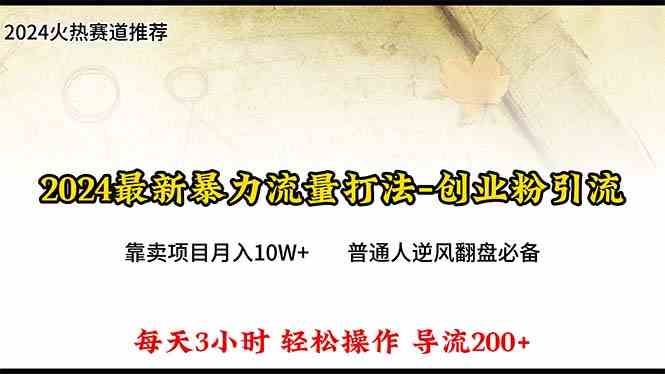 （10151期）2024年最新暴力流量打法，每日导入300+，靠卖项目月入10W+-云库资源