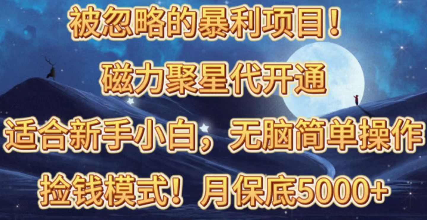 （10245期）被忽略的暴利项目！磁力聚星代开通捡钱模式，轻松月入五六千-云库资源