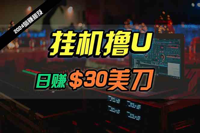 （10013期）日赚30美刀，2024最新海外挂机撸U内部项目，全程无人值守，可批量放大-云库资源
