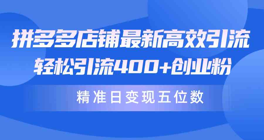 （10041期）拼多多店铺最新高效引流术，轻松引流400+创业粉，精准日变现五位数！-云库资源