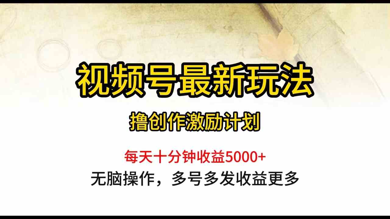 （10087期）视频号最新玩法，每日一小时月入5000+-云库资源