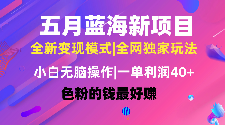 （10477期）五月蓝海项目全新玩法，小白无脑操作，一天几分钟，矩阵操作，月入4万+-云库资源