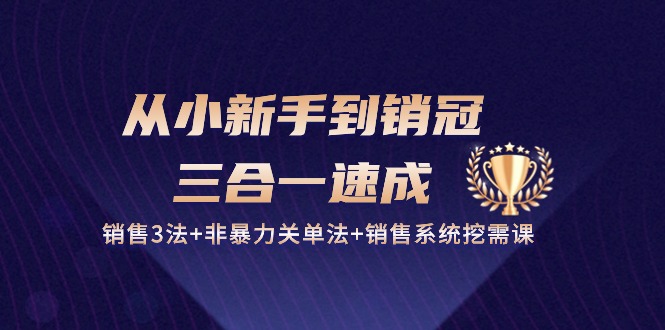（10799期）从小新手到销冠 三合一速成：销售3法+非暴力关单法+销售系统挖需课 (27节)-云库资源