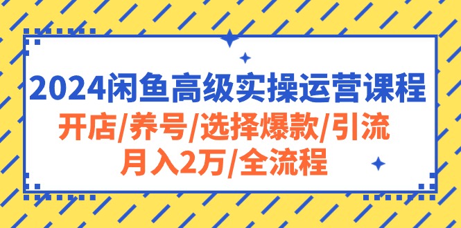 （10711期）2024闲鱼高级实操运营课程：开店/养号/选择爆款/引流/月入2万/全流程-云库资源