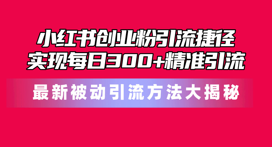 （10692期）小红书创业粉引流捷径！最新被动引流方法大揭秘，实现每日300+精准引流-云库资源