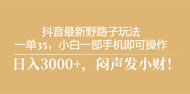 （10766期）抖音最新野路子玩法，一单35，小白一部手机即可操作，，日入3000+，闷…-云库资源