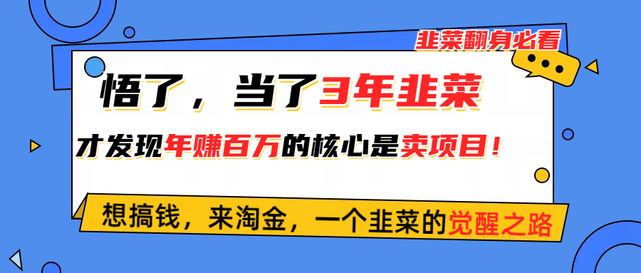 （10759期）悟了，当了3年韭菜，才发现网赚圈年赚100万的核心是卖项目，含泪分享！-云库资源