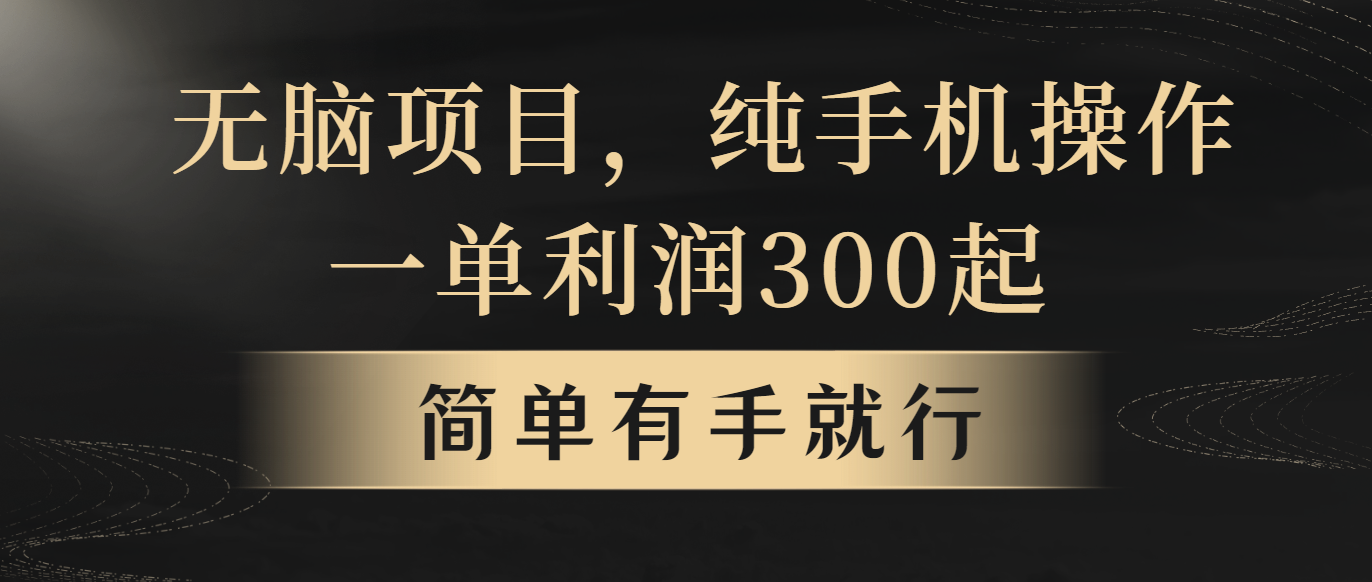 （10589期）无脑项目，一单几百块，轻松月入5w+，看完就能直接操作-云库资源