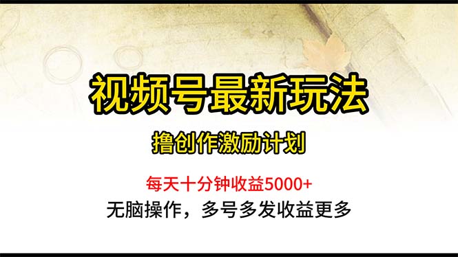 （10591期）视频号最新玩法，每日一小时月入5000+-云库资源
