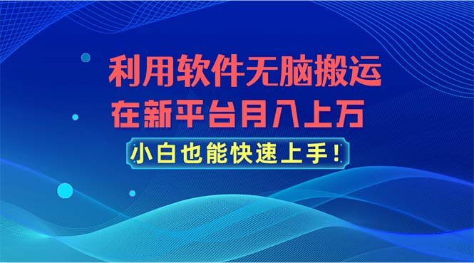 （11078期）利用软件无脑搬运，在新平台月入上万，小白也能快速上手-云库资源