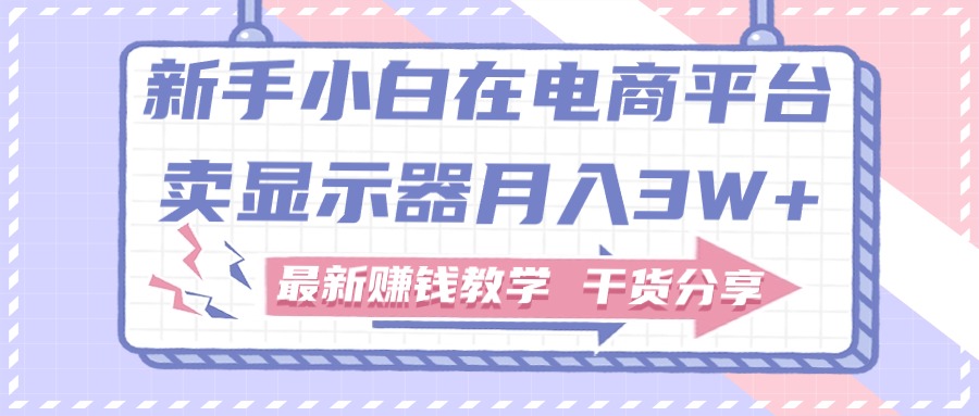 （11053期）新手小白如何做到在电商平台卖显示器月入3W+，最新赚钱教学干货分享-云库资源