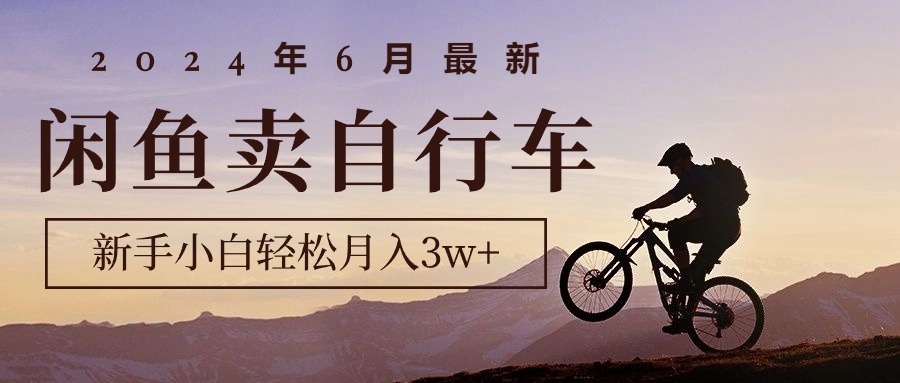 （10915期）2024年6月最新闲鱼卖自行车，新手小白轻松月入3w+项目-云库资源