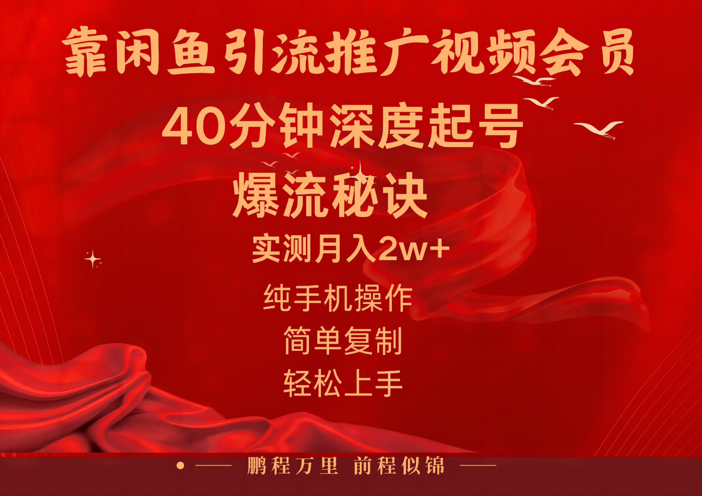 （10896期）闲鱼暴力引流推广视频会员，能做到日入2W+，操作简单-云库资源