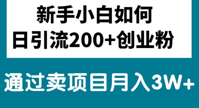 （10843期）新手小白日引流200+创业粉,通过卖项目月入3W+-云库资源