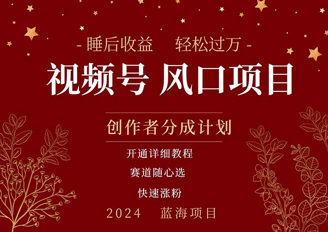 （11331期）拥有睡眠收益的微信视频号大风口项目，轻松月入过万+，多赛道选择，可…-云库资源