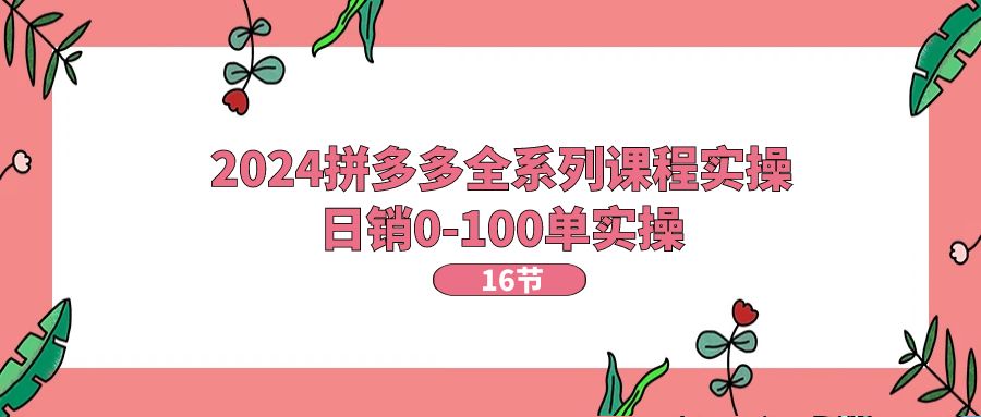（11222期）2024拼多多全系列课程实操，日销0-100单实操【16节课】-云库资源