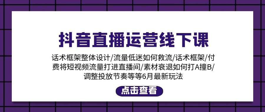 （11211期）抖音直播运营线下课：话术框架/付费流量直播间/素材A撞B/等6月新玩法-云库资源