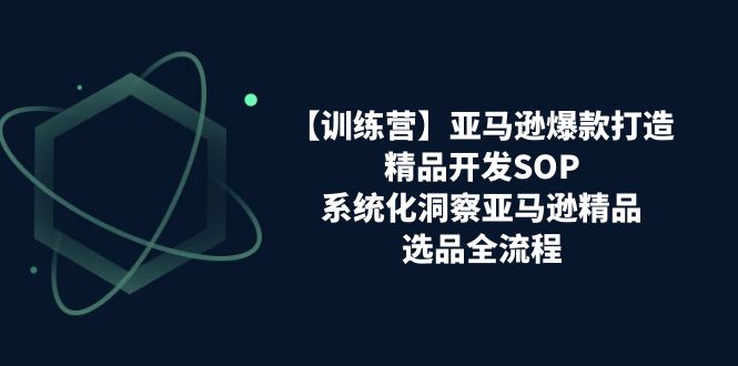 （11210期）【训练营】亚马逊爆款打造之精品开发SOP，系统化洞察亚马逊精品选品全流程-云库资源