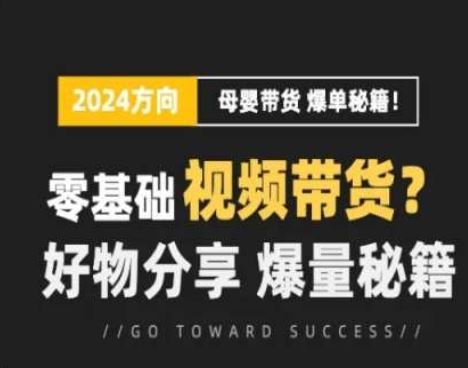 短视频母婴赛道实操流量训练营，零基础视频带货，好物分享，爆量秘籍-云库资源