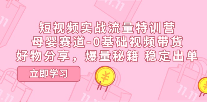 短视频实战流量特训营，母婴赛道-0基础带货，好物分享，爆量秘籍 稳定出单-云库资源