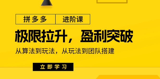 （11435期）拼多多·进阶课：极限拉升/盈利突破：从算法到玩法 从玩法到团队搭建-18节-云库资源