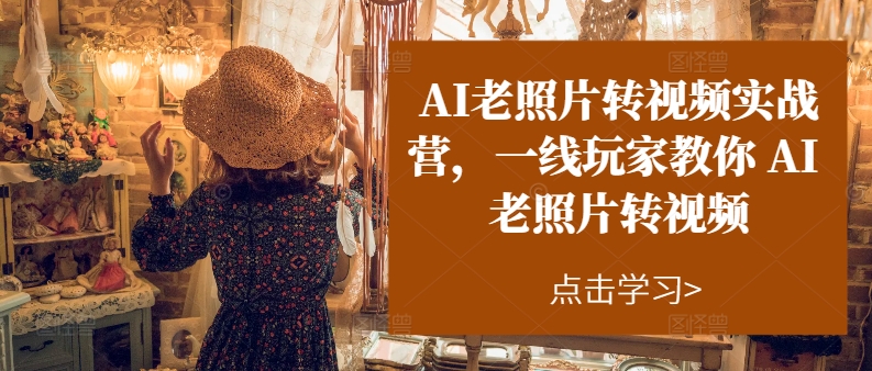 （11477期）AI老照片转视频实操训练营，一线玩家教你AI老照片转视频-云库资源