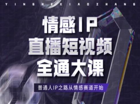 情感IP直播短视频全通大课，普通人IP之路从情感赛道开始-云库资源