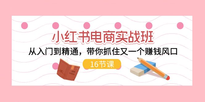 （11533期）小红书电商实战班，从入门到精通，带你抓住又一个赚钱风口（16节）-云库资源