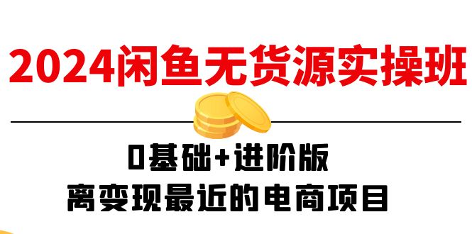 （11535期）2024闲鱼-无货源实操班：0基础+进阶版，离变现最近的电商项目（15节）-云库资源