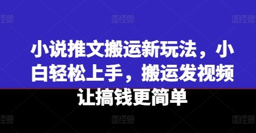小说推文搬运新玩法，小白轻松上手，搬运发视频让搞钱更简单-云库资源