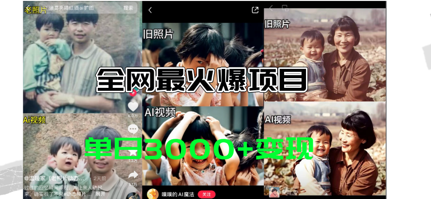 （11546期）全网爆火的AI让老照片动起来教程，蹭热点日赚3000+，内含免费工具一键…-云库资源
