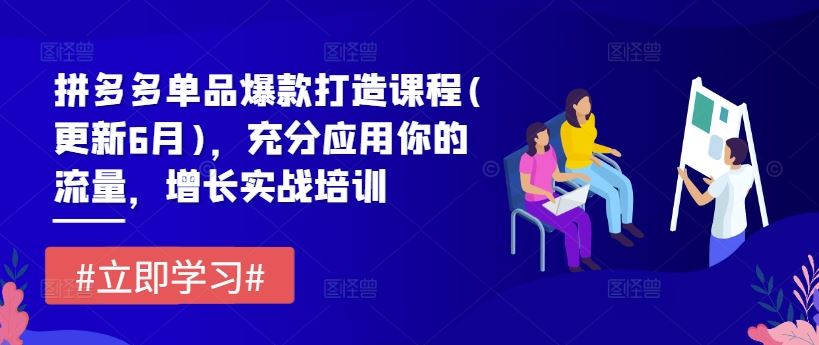 拼多多单品爆款打造课程(更新6月)，充分应用你的流量，增长实战培训-云库资源