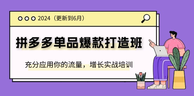 （11556期）2024拼多多-单品爆款打造班(更新6月)，充分应用你的流量，增长实战培训-云库资源