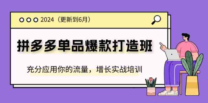 2024拼多多单品爆款打造班，充分应用你的流量，增长实战培训(更新6月)-云库资源