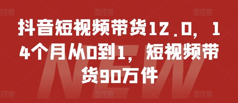 抖音短视频带货12.0，14个月从0到1，短视频带货90万件-云库资源