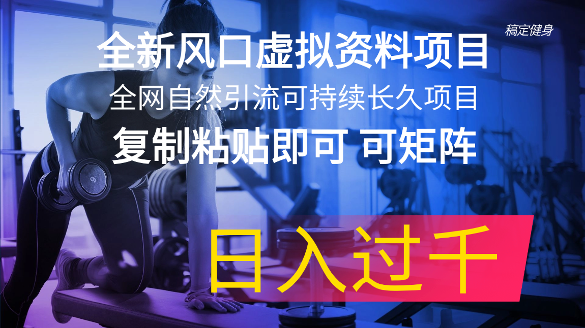 （11587期）全新风口虚拟资料项目 全网自然引流可持续长久项目 复制粘贴即可可矩阵…-云库资源